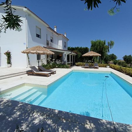Tenuta Viale Degli Ulivi San Martino in Pensilis Екстер'єр фото