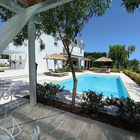 Tenuta Viale Degli Ulivi San Martino in Pensilis Екстер'єр фото
