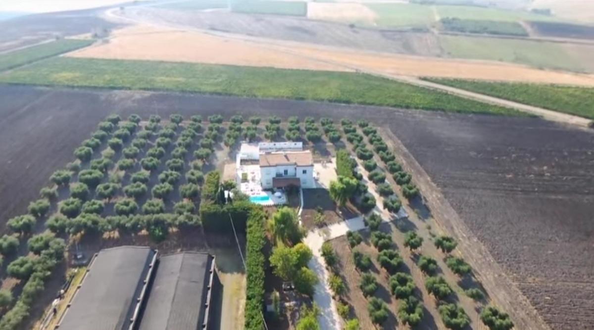 Tenuta Viale Degli Ulivi San Martino in Pensilis Екстер'єр фото