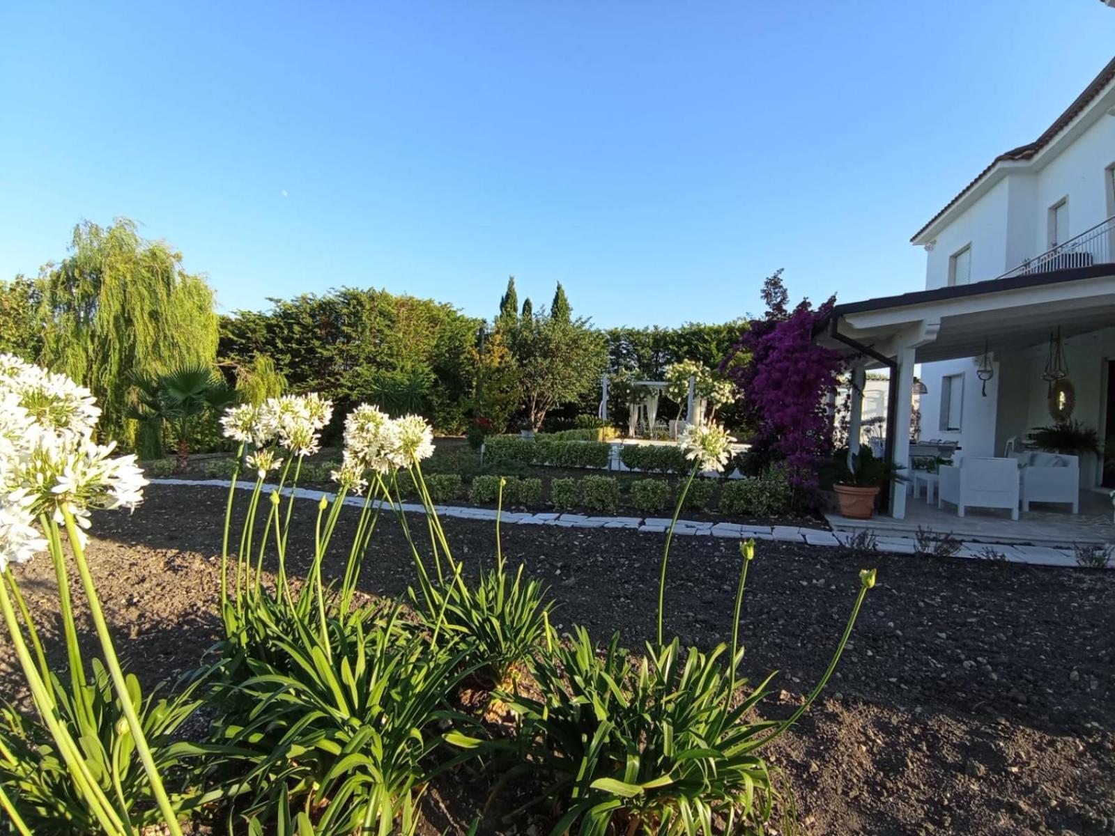 Tenuta Viale Degli Ulivi San Martino in Pensilis Екстер'єр фото