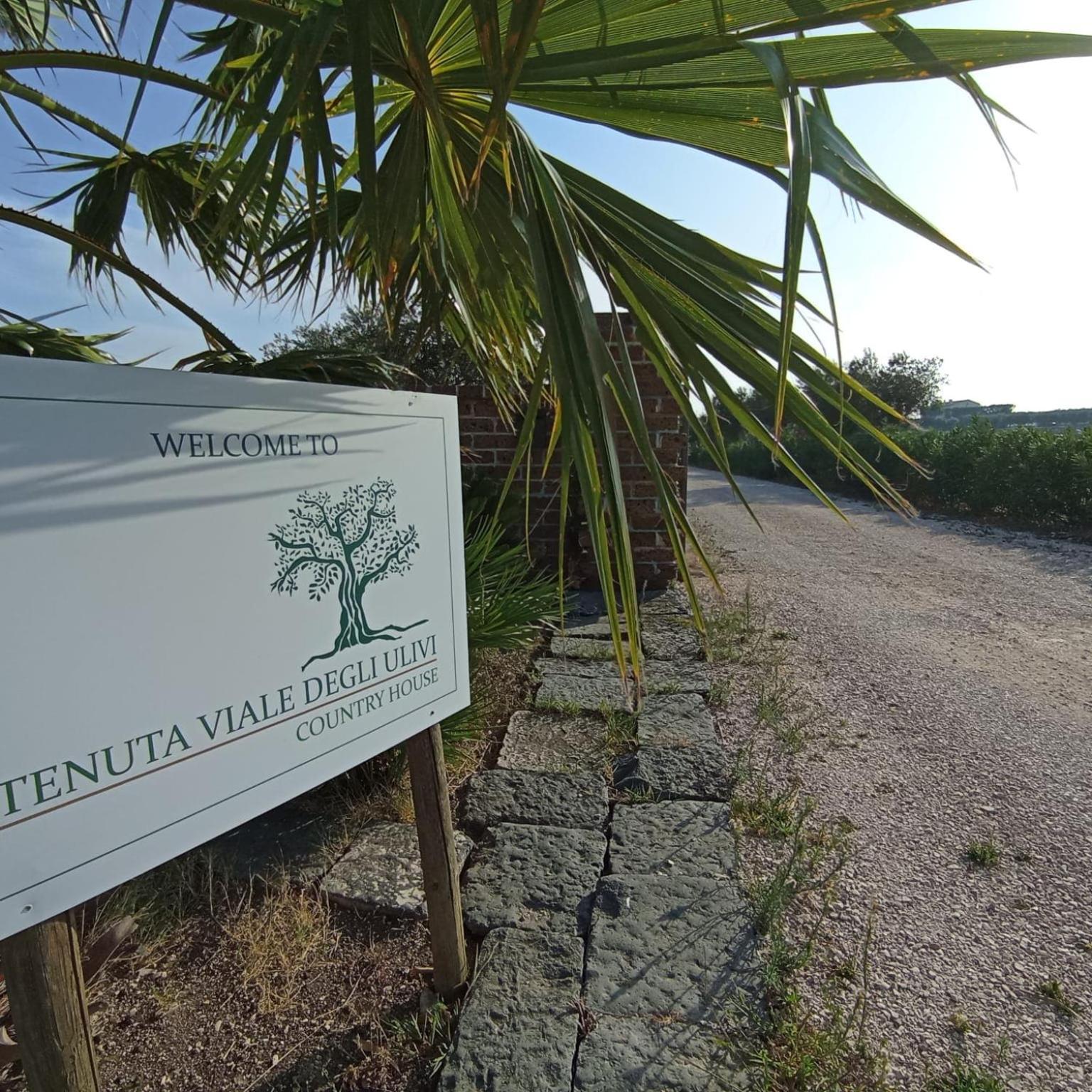 Tenuta Viale Degli Ulivi San Martino in Pensilis Екстер'єр фото