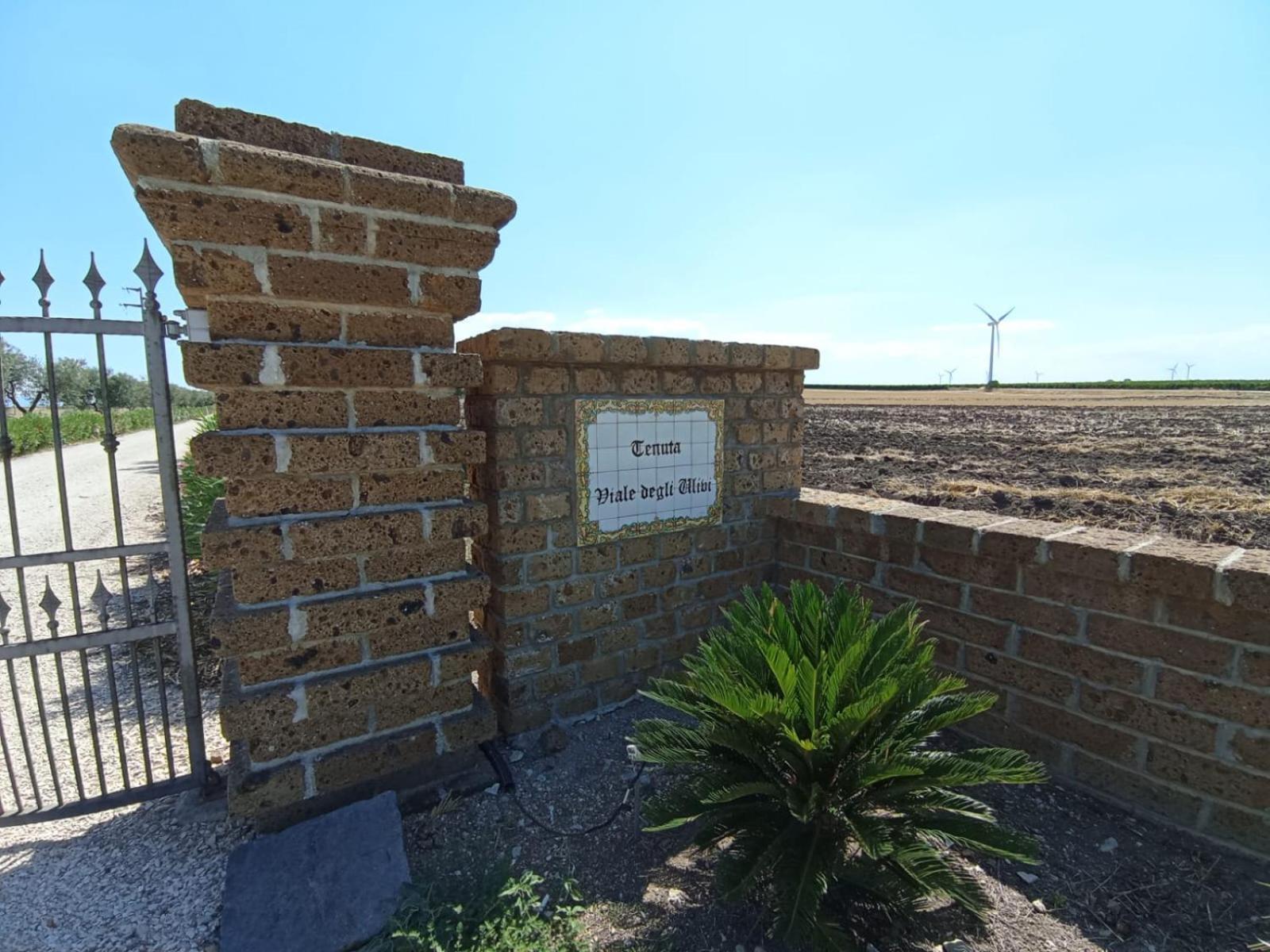 Tenuta Viale Degli Ulivi San Martino in Pensilis Екстер'єр фото