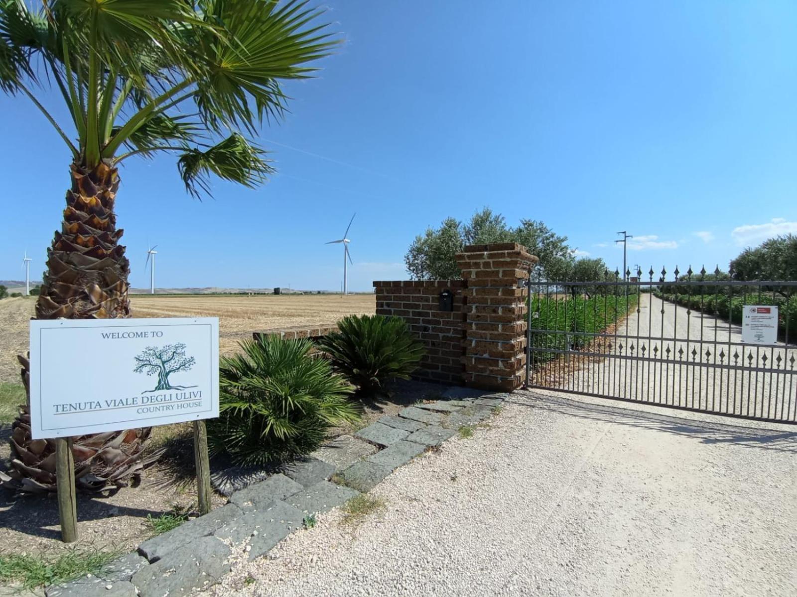 Tenuta Viale Degli Ulivi San Martino in Pensilis Екстер'єр фото