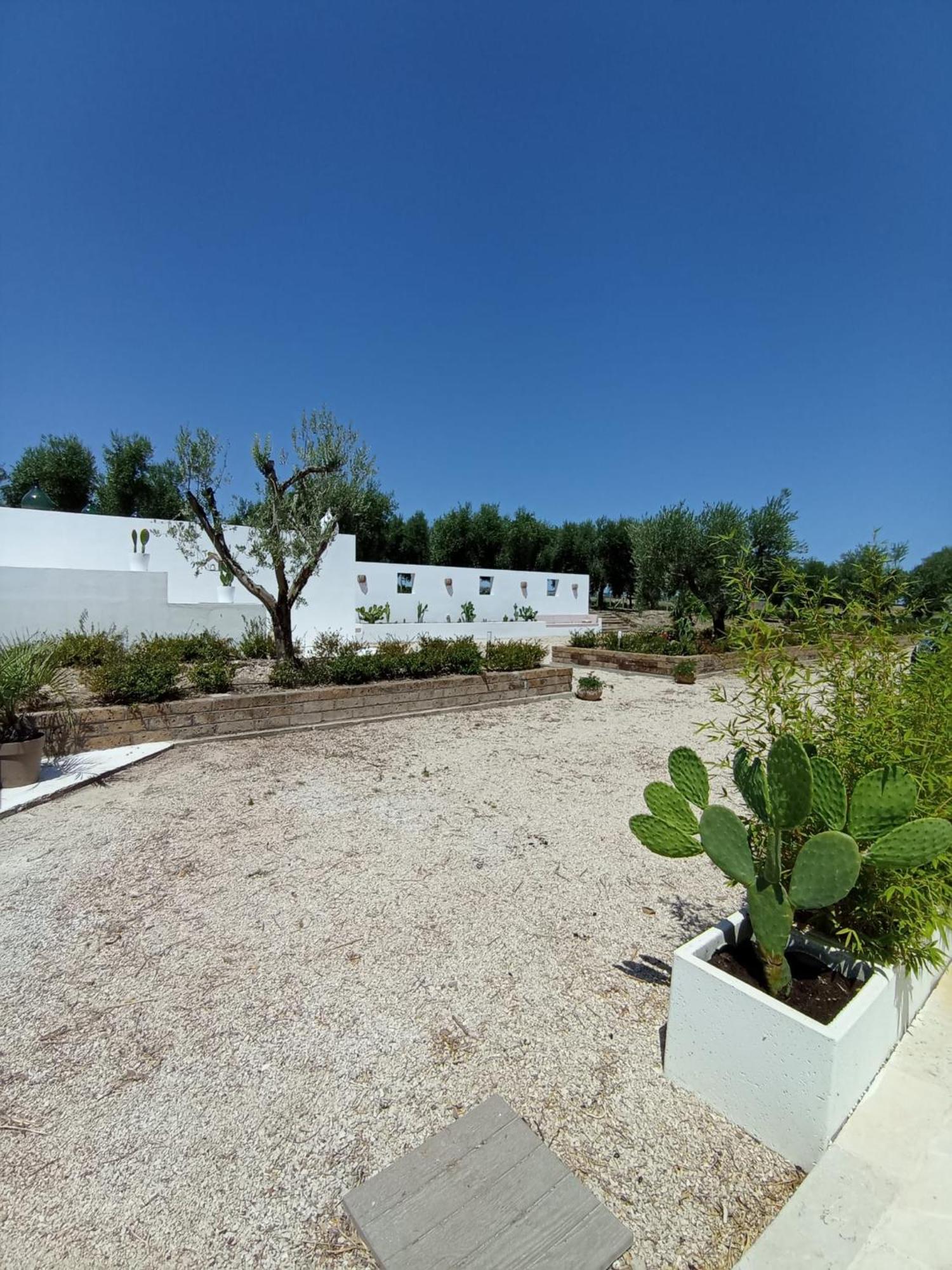Tenuta Viale Degli Ulivi San Martino in Pensilis Екстер'єр фото