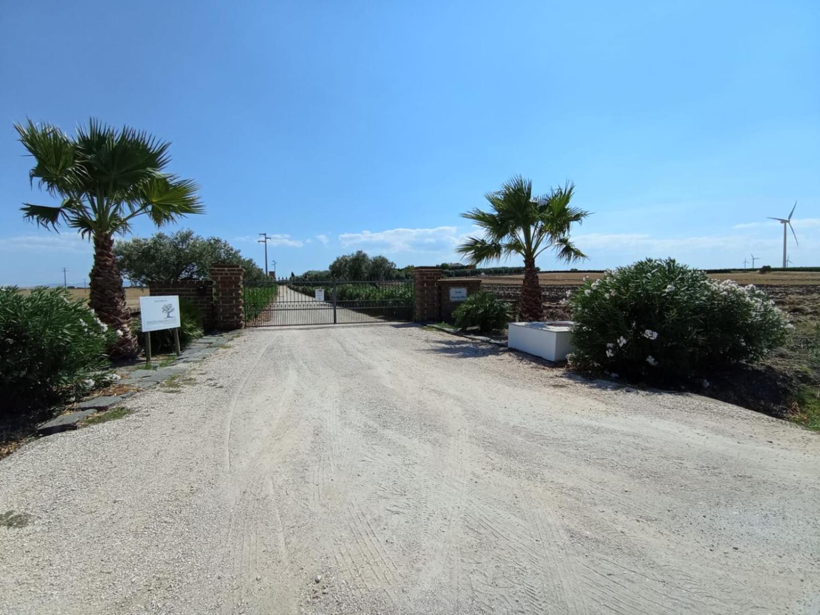 Tenuta Viale Degli Ulivi San Martino in Pensilis Екстер'єр фото